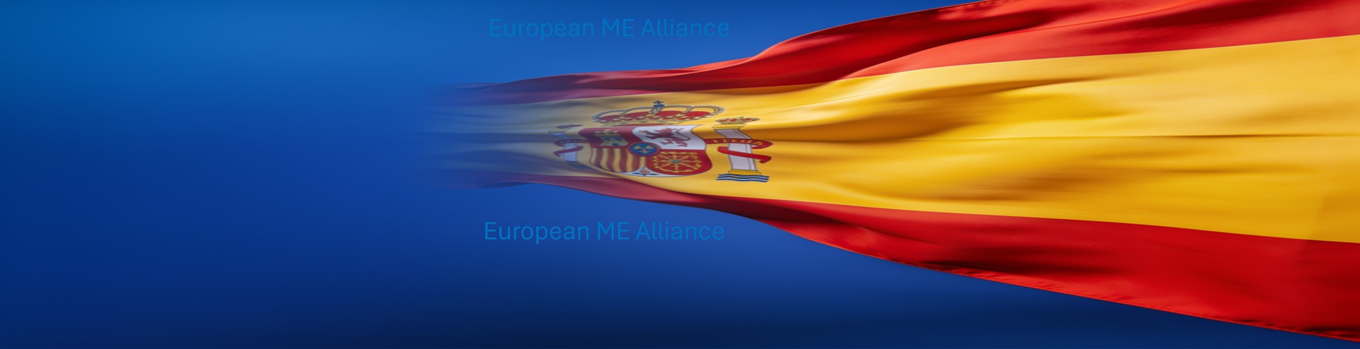 Spanish organisations continue coordinated advocacy for ME following UN high-level meeting 